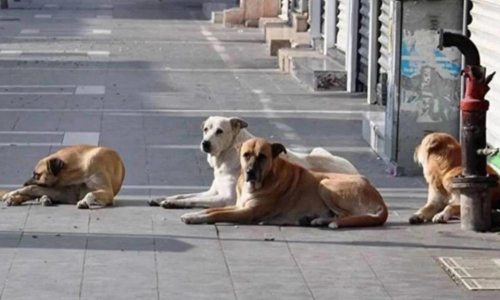 İçişleri Bakanlığı’ndan belediye başkanlarına 