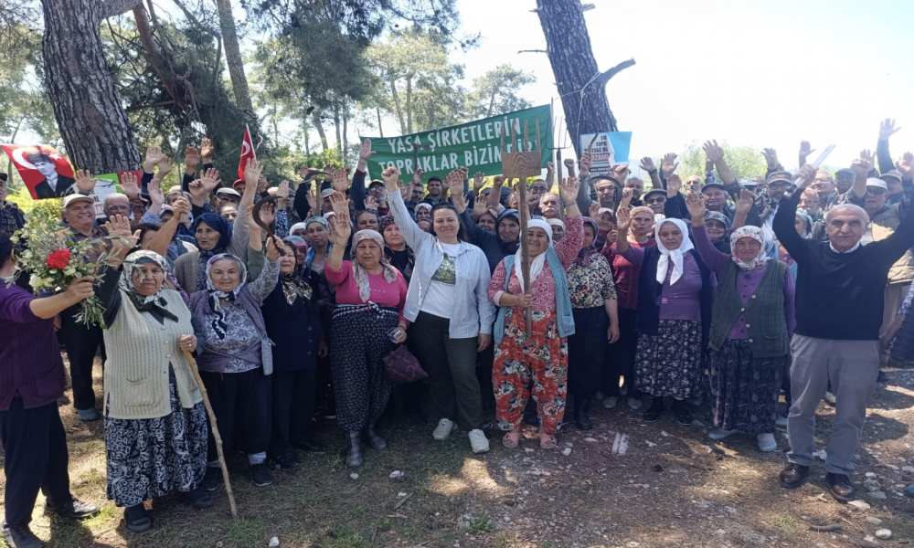 Akbelen Ormanı çevresindeki acele kamulaştırma kararının yürütmesi durduruldu