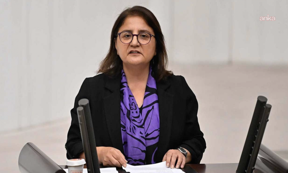 DEM Partili Kordu, Gülistan Doku için Meclis araştırması açılmasını istedi