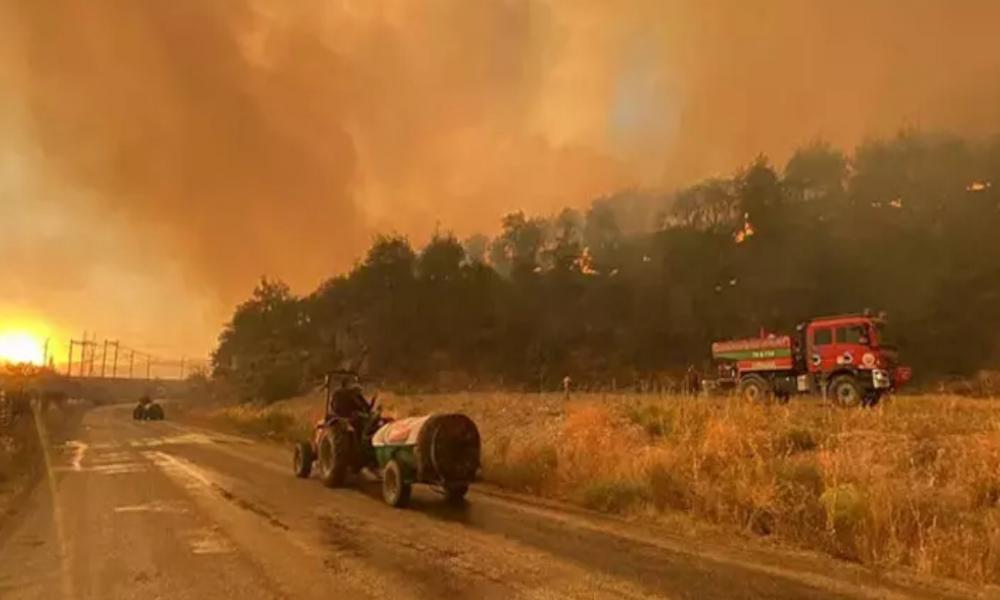 Sakarya'da yangın: Bilecik yolu kapatıldı