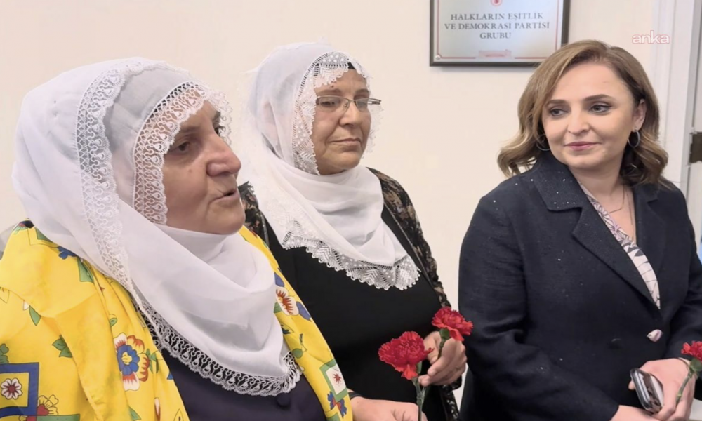 Barış Anneleri Heyeti, Adalet Bakanlığı'na İmralı Adası'nda Öcalan ile görüşmek için dilekçe verecek