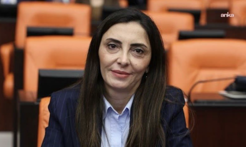 Nurhayat Altaca Kayışoğlu: 