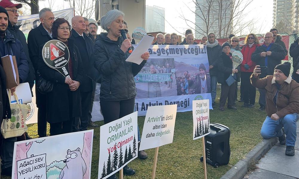 Yeşil Artvin Derneği: 