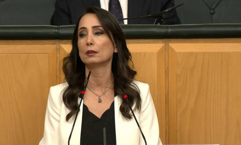 Hatimoğulları'ndan çözüm süreci için yeni komisyon önerisi: Hakikatleri Açığa Çıkarma ve Yüzleşme Komisyonu mutlaka olmalı