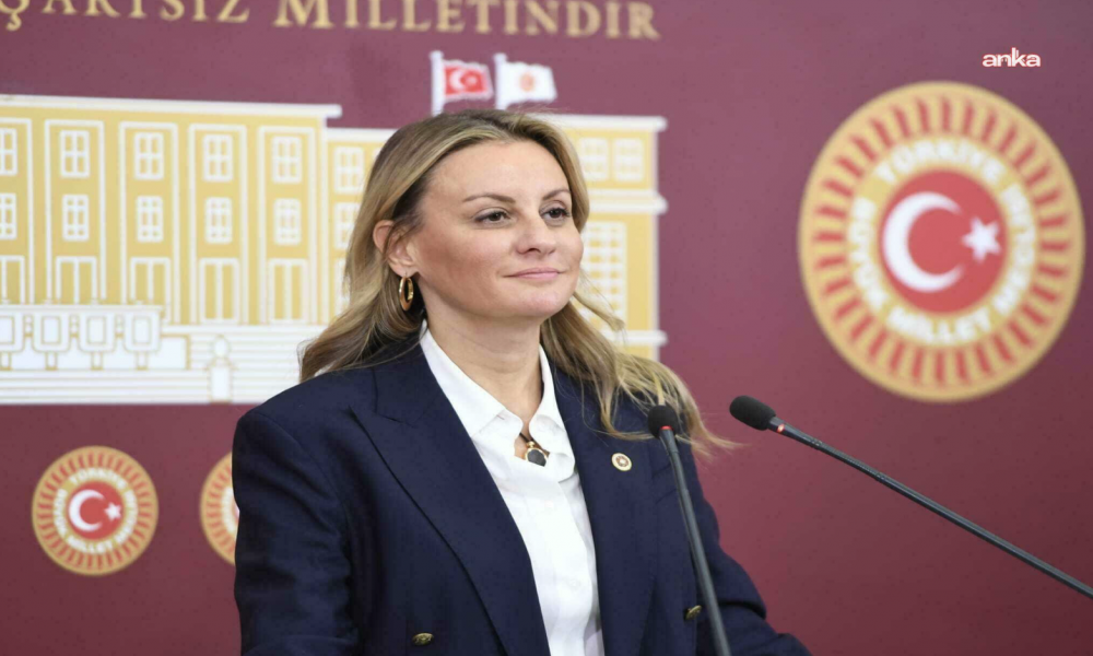 CHP’li Kaya Ösen: Kültür ve sanatın ulaşılabilir olması bir lüks değil temel bir insani haktır