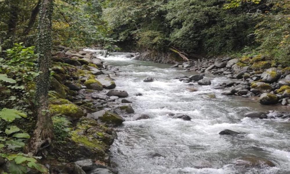 Dere ıslahı mı beton ısrarı mı?