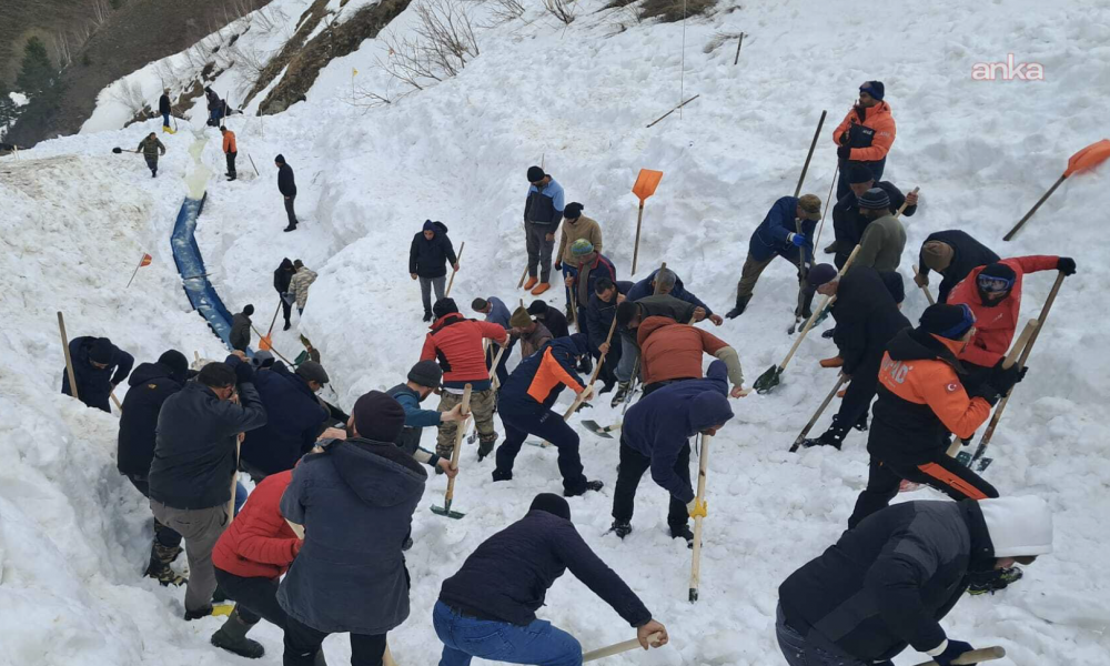 Artvin'de yeniden başlatılan çoban Bülent Gezer'i arama çalışmaları dördüncü gününde