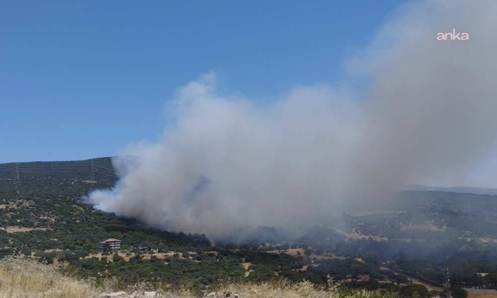 İzmir Bornova’da orman yangını