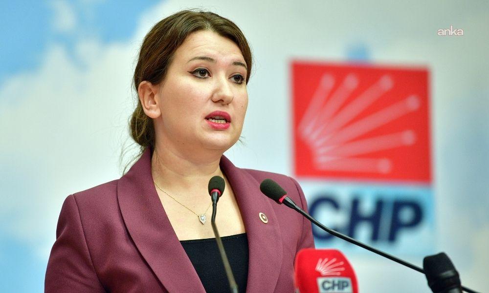 Gökçe Gökçen: “CHP Kadıköy Gençlik Kolları yöneticisi Bilgekağan gözdağı olsun diye tutuklandı”