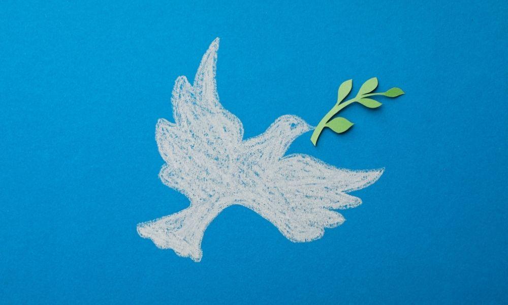 Ekoloji örgütleri: Barış yalnızca silahların susması değil, insan ve insan dışı doğanın yaşam bulmasıdır