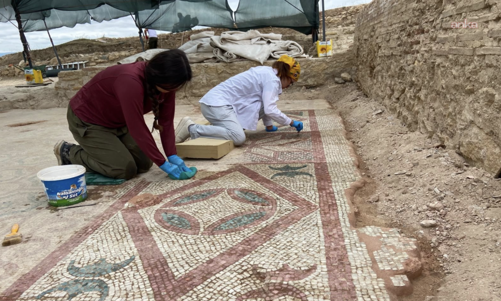 Bakan Ersoy duyurdu: Pompeiopolis'te Roma dönemine ait 105 metrekarelik mozaikler ortaya çıkarıldı