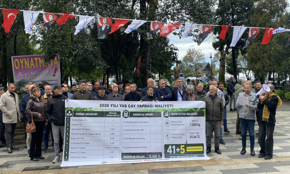 Hopalı çay üreticilerinin talebi: 