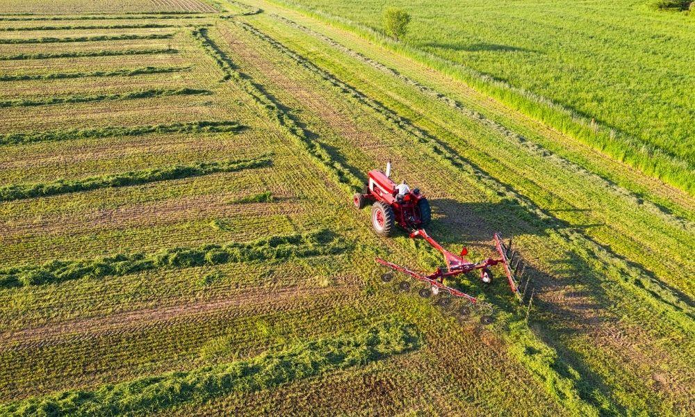 TÜİK: Tarım ürünleri üretici fiyat endeksi mart ayında yüzde 3,85 arttı