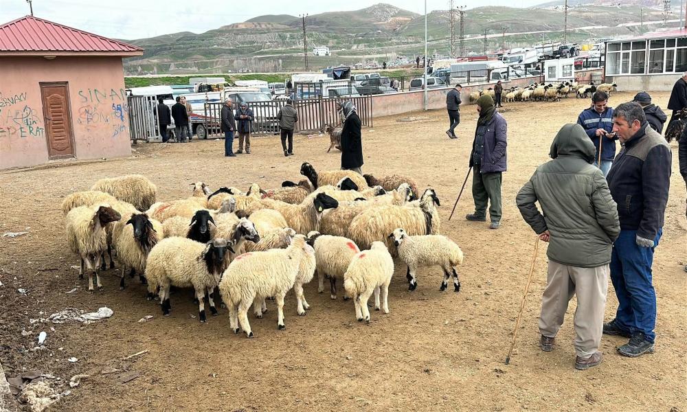 Van hayvan pazarında silahlı kavga: 1 ölü, 13 yaralı