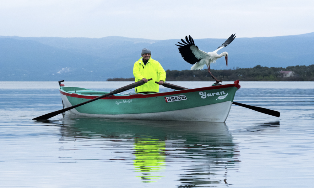Yaren leylek 15. kez Adem Amca'nın kayığına kondu