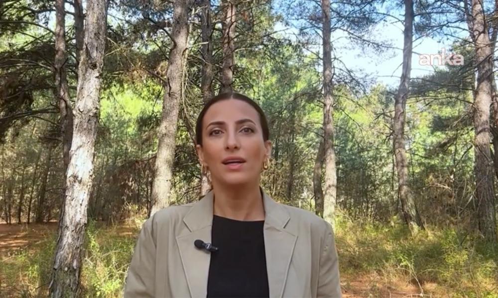 CHP İstanbul Milletvekili Rızvanoğlu: 