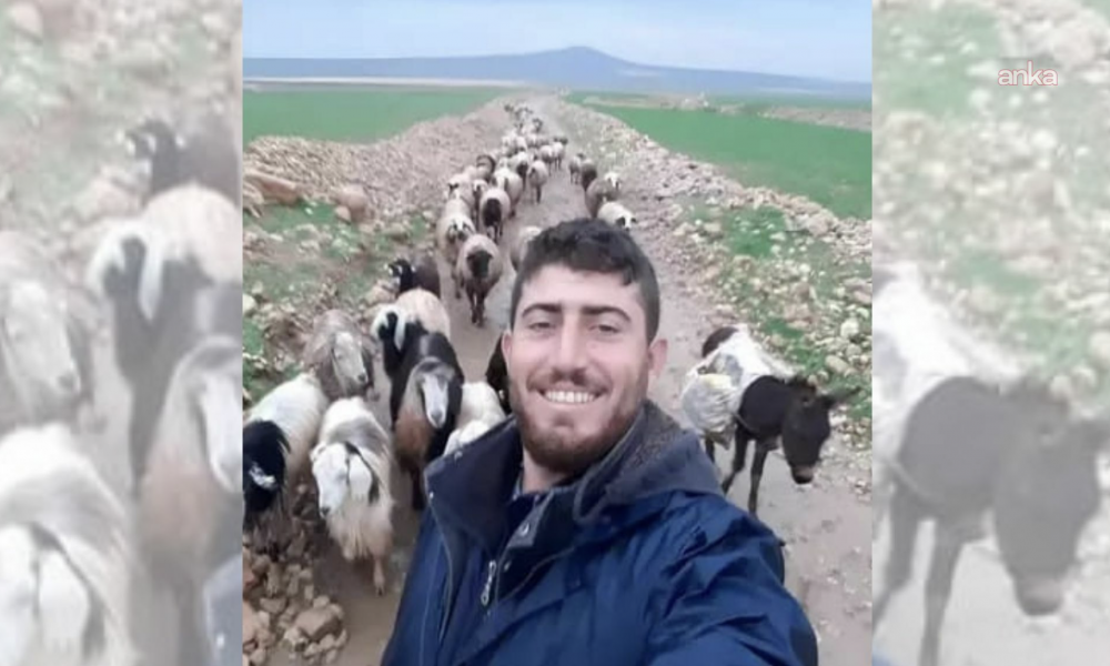 Mardin’de çoban cinayetiyle ilgili yürütülen soruşturmada gözaltına alınan 17 şüpheliden 5'i tutuklandı