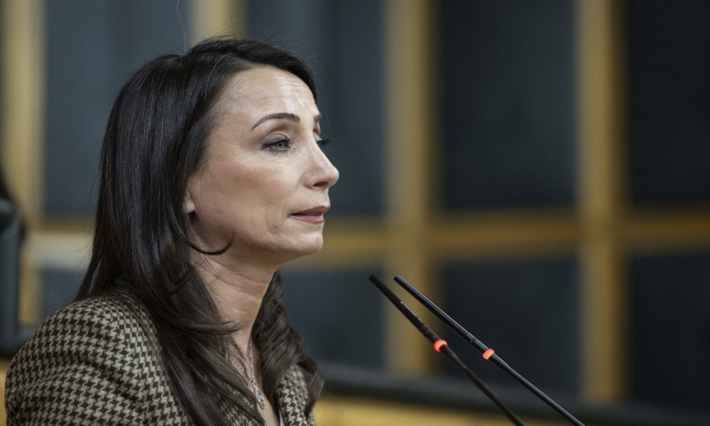 Hatimoğulları'ndan İmralı çağrısı: Devletin gittiği yere siyaset neden gitmesin?